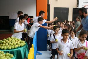 IMG 7556