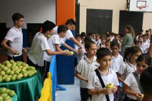 IMG 7557