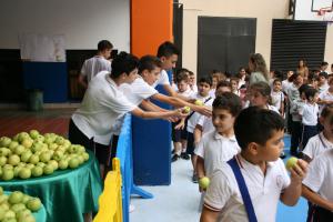 IMG 7558