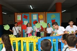 IMG 7563