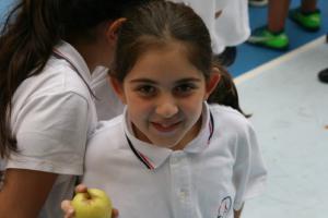 IMG 7586