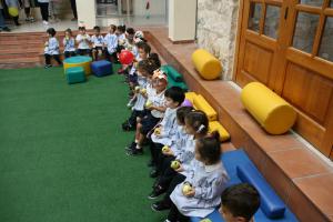 IMG 7651