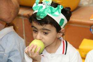 IMG 7657