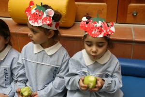 IMG 7663