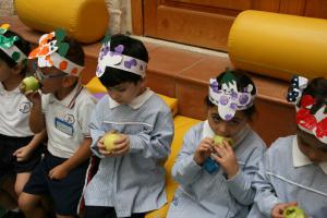 IMG 7664