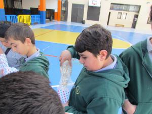 IMG 4412