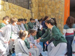 IMG 4453