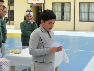 IMG 4506