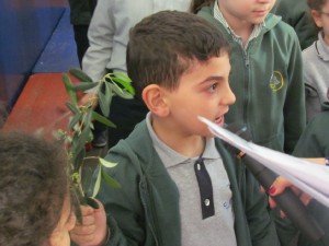 IMG_0578