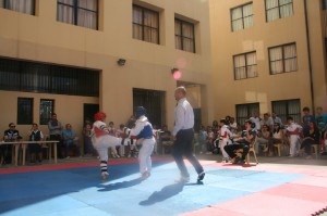 IMG_0613 