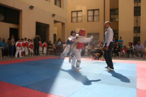 IMG_0615 