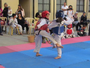 IMG_3320
