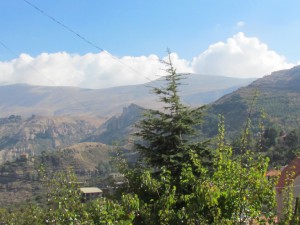 IMG_0097 