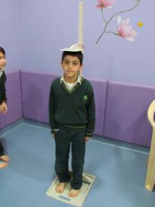 IMG 7754