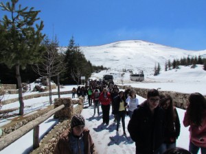 IMG_2931