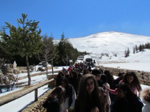 IMG_2932