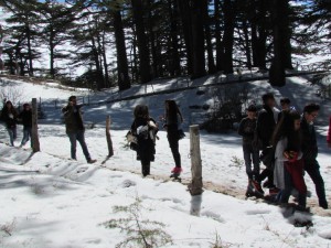 IMG_2972