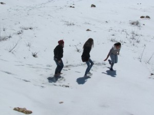 IMG_3001