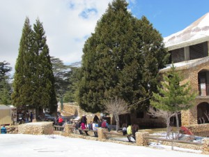 IMG_3007