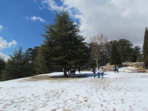 IMG_3008