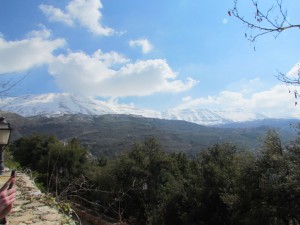 IMG_3037