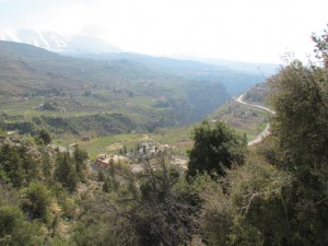IMG_3042