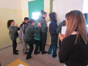 IMG 7882